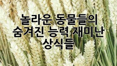 놀라운 동물들의 숨겨진 능력: 재미난 상식들!